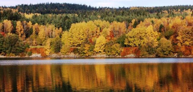 Hotel Racek Černá v Pošumaví Kültér fotó